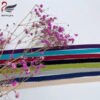 Wholesale Skin-friendly Nylon Knitted Picot Edge Elastic Band Non slip Plush Elastic Bra Strap for Underwear