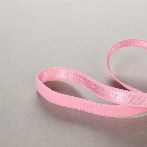 12mm 15mm Plush Shiny Plush Elastic Webbing Double Picot Teeth Edge Bra Strap Nylon Jacquard Elastic Band for Underwear