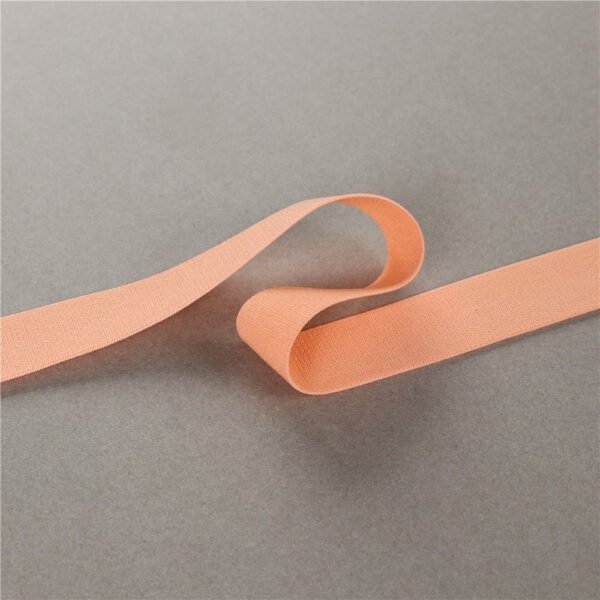 Main-02 Factory Wholesale 20mm Flat Soft Nylon Elastic Webbing Bra Strap Elastic for Sports Bra Underwear