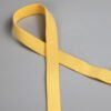 Factory Wholesale 10mm 12mm Comfortable Nylon Elastic Shoulder Strap Plush Bra Elastic Band