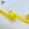 Wholesale 20mm Soft Nylon Shiny Stain Elastic Band Anti-slip Elastic Webbing Bra Strap Elastic for Lingerie
