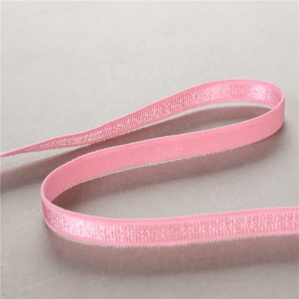 12mm 15mm Plush Shiny Plush Elastic Webbing Double Picot Teeth Edge Bra Strap Nylon Jacquard Elastic Band for Underwear