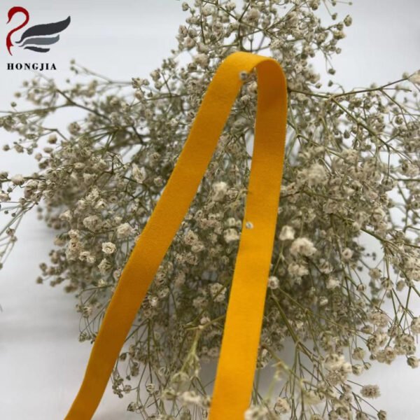 Hongjia Nylon Elastic Flat Underwear Belt Elastic for Underwear