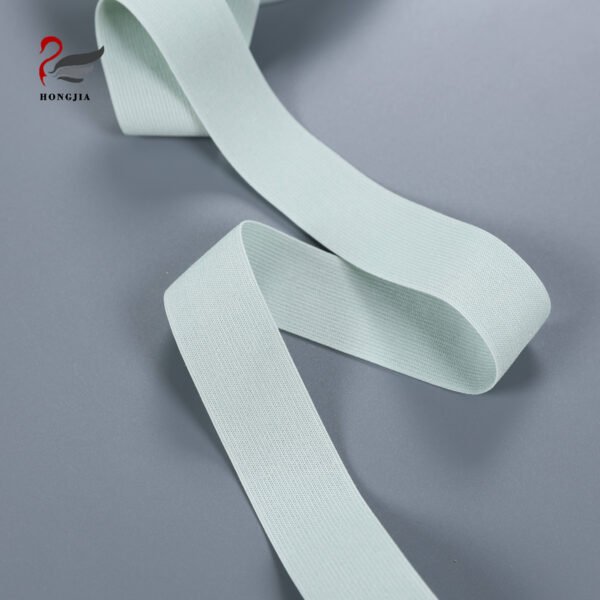 Eco-Friendly High Tenacity Custom Thick Nylon Polyester Webbing Straps