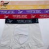Main-05 Customized logo Polyamide Soft Skin-friendly Elastic Waistbands Jacquard Elastic Band for Underwear Sportswear