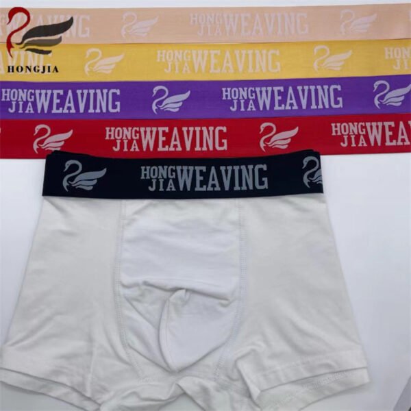 Main-05 Customized logo Polyamide Soft Skin-friendly Elastic Waistbands Jacquard Elastic Band for Underwear Sportswear