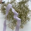 Main-05 Factory Custom Colorful Soft Elastic Binding Bias Tape Nylon Fold Over Elastic Band for Underwear