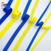 Wholesale Soft Nylon Plush Bra Elastic Band Picot Edge Shiny Elastic Underwear Trim Anti-slip Bra Shoulder Strap